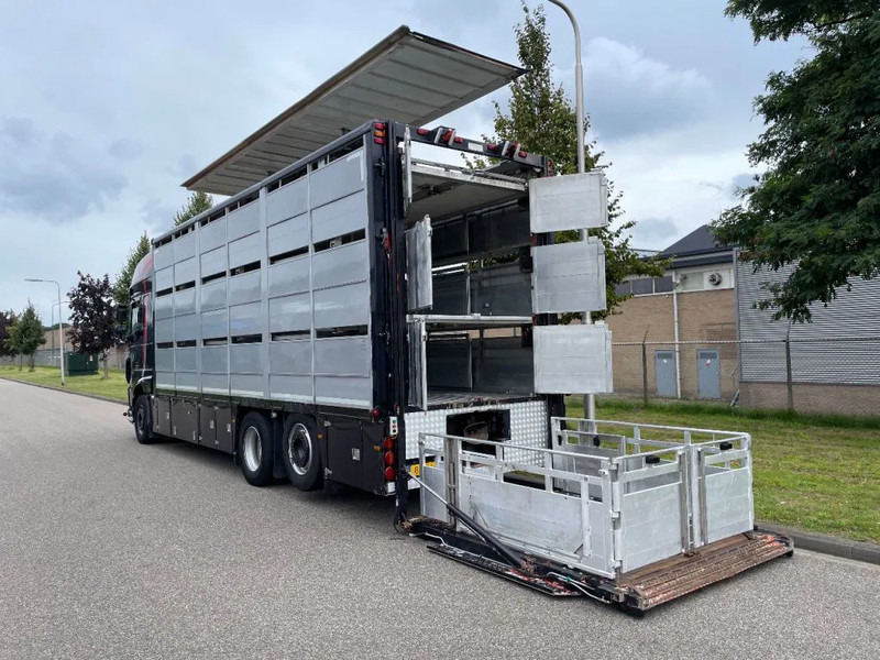 DAF XF 460 2017 berdex 3 lagen varkens - Livestock truck: picture 4 DAF XF 460 2017 berdex 3 lagen varkens - Livestock truck: picture 4
