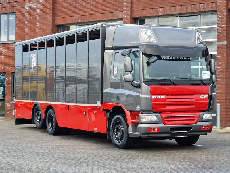 DAF CF 360 SpaceCab 6x2*4 - Menke Janzen Livestock 1 deck 20.78M2 - Steering axle - Euro 5 - Livestock truck: picture 2 DAF CF 360 SpaceCab 6x2*4 - Menke Janzen Livestock 1 deck 20.78M2 - Steering axle - Euro 5 - Livestock truck: picture 2