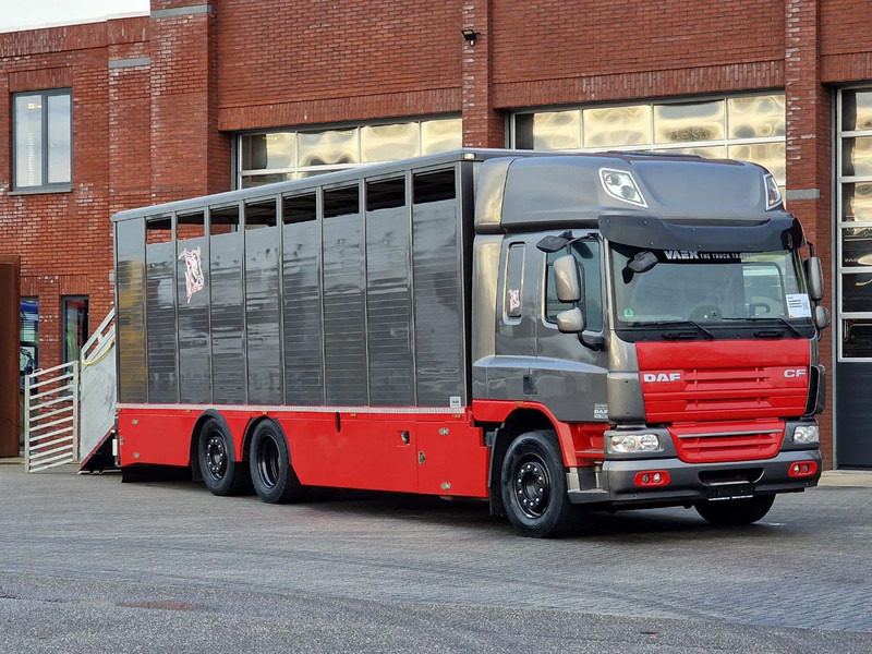 DAF CF 360 SpaceCab 6x2*4 - Menke Janzen Livestock 1 deck 20.78M2 - Steering axle - Euro 5 - Livestock truck: picture 1 DAF CF 360 SpaceCab 6x2*4 - Menke Janzen Livestock 1 deck 20.78M2 - Steering axle - Euro 5 - Livestock truck: picture 1