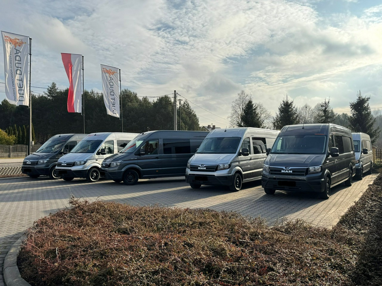 Panel van Man TGE: picture 14