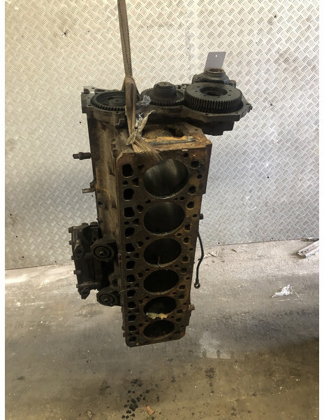 Engine Fiat 8065.25: picture 6