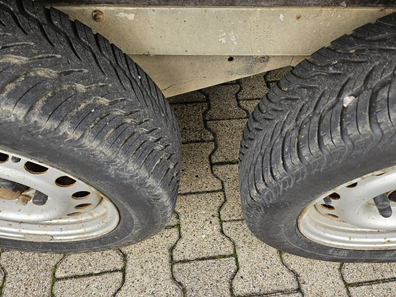 Blomert T2BPA Pferdeanhänger T2BPA Pferdeanhänger - Horse trailer: picture 4 Blomert T2BPA Pferdeanhänger T2BPA Pferdeanhänger - Horse trailer: picture 4