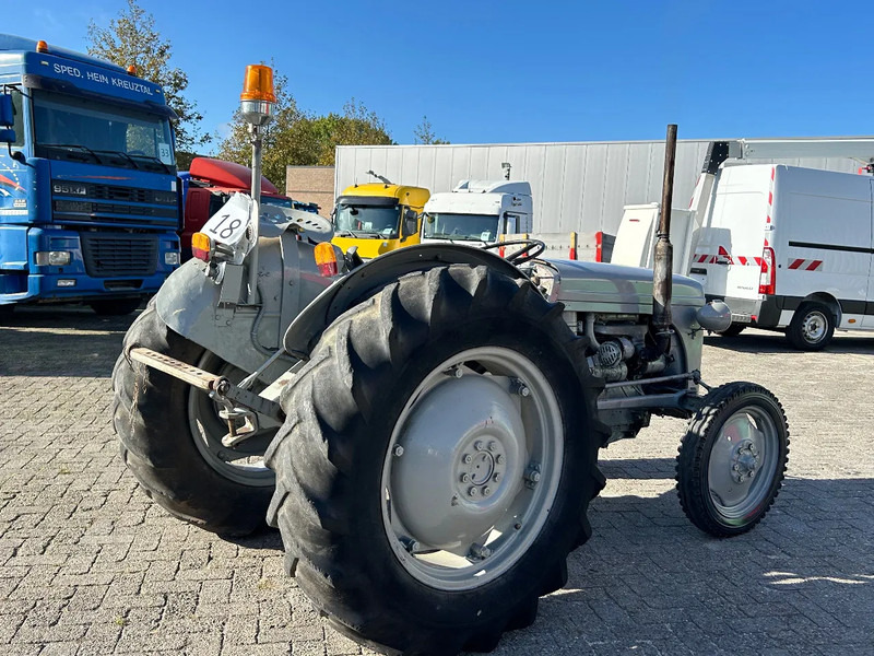 Farm tractor Diversen FERGUSON tractor: picture 13