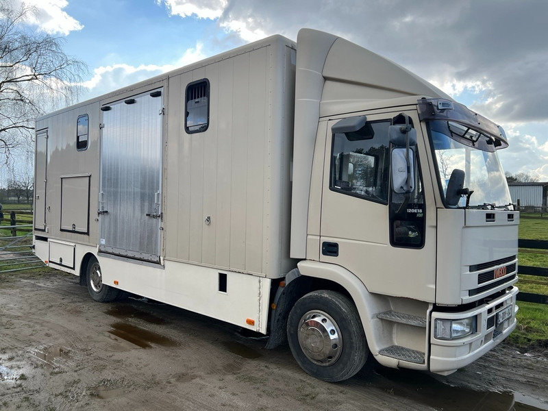 Iveco 120E18 - 3 HORSES - MANUAL - STEEL SUSPENSION - Horse truck: picture 2 Iveco 120E18 - 3 HORSES - MANUAL - STEEL SUSPENSION - Horse truck: picture 2