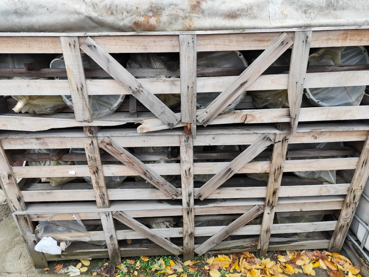 HYUNDAI DYMOS T032S5 - Gearbox: picture 5 HYUNDAI DYMOS T032S5 - Gearbox: picture 5