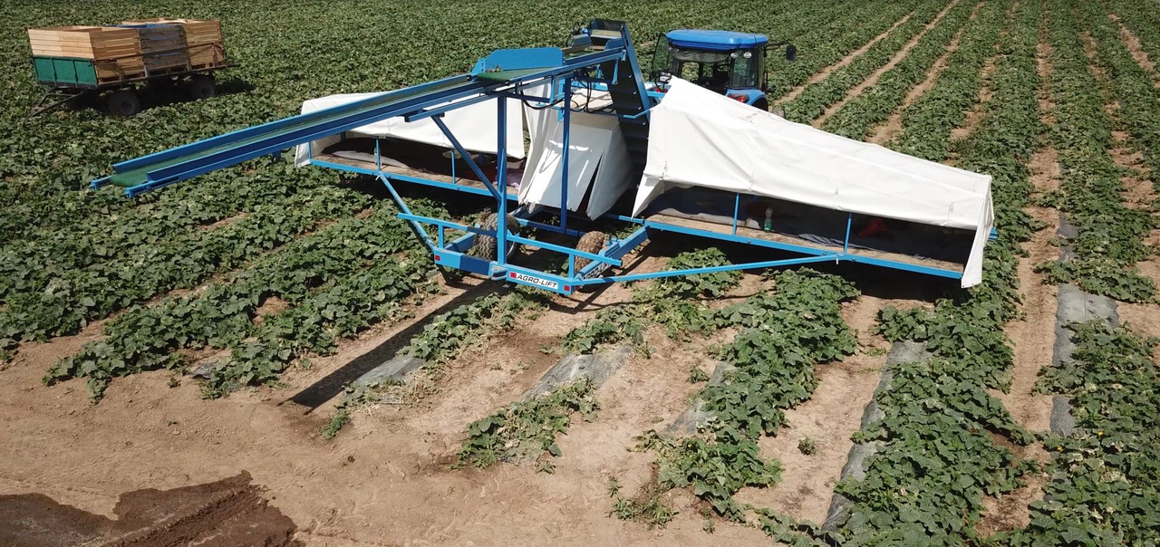 AGRO-LIFT Kombajn do ogórków - Harvester: picture 3 AGRO-LIFT Kombajn do ogórków - Harvester: picture 3