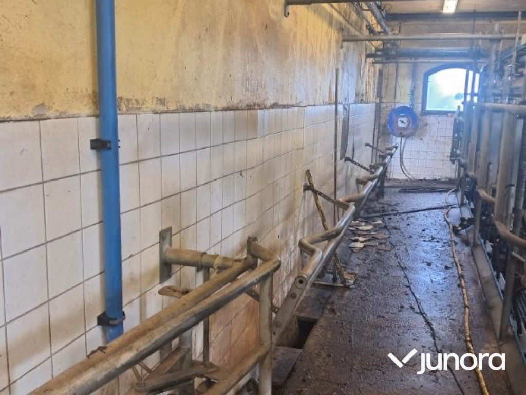 DeLaval 2x6 fiskbensstall - Milking equipment: picture 4 DeLaval 2x6 fiskbensstall - Milking equipment: picture 4