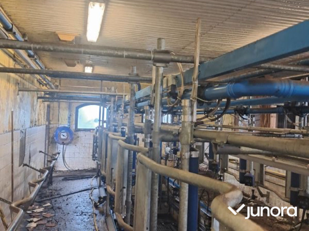 DeLaval 2x6 fiskbensstall - Milking equipment: picture 3 DeLaval 2x6 fiskbensstall - Milking equipment: picture 3