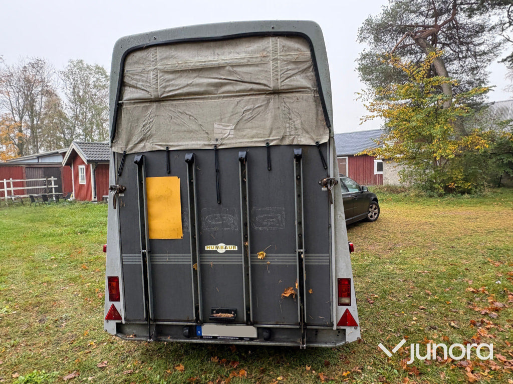 Hästtransport - Humbaur, Rapid - Horse trailer: picture 5 Hästtransport - Humbaur, Rapid - Horse trailer: picture 5