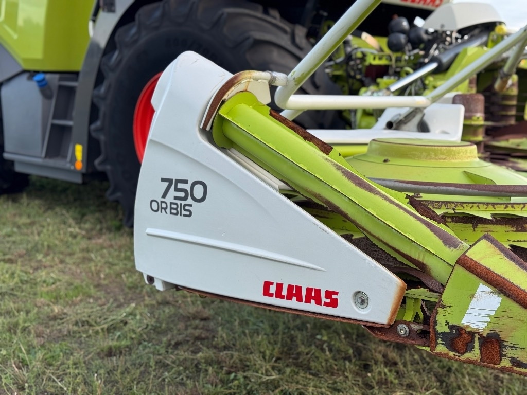 Forage harvester Claas Jaguar 950 Allrad + Claas Orbis 750: picture 12