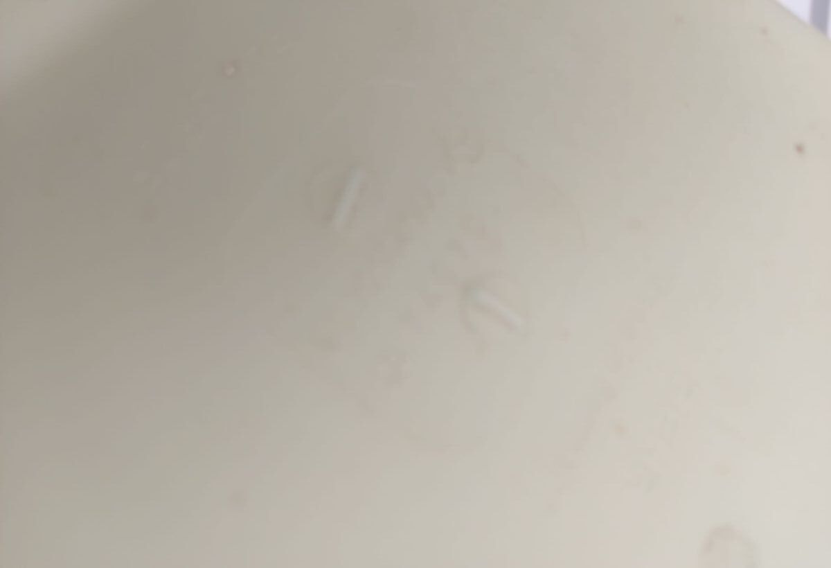 Mercedes-Benz A9062050406   Mercedes-Benz Actros Axor truck - Fan for Truck: picture 5 Mercedes-Benz A9062050406   Mercedes-Benz Actros Axor truck - Fan for Truck: picture 5