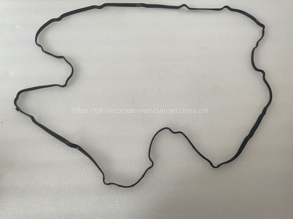 FPT IVECO CASE Cursor9Bus F2CFE612D*J231/F2CFE612A*J098 5802748674 HEAD COVER GASKET 5801886274 - Engine gasket for Bus: picture 1 FPT IVECO CASE Cursor9Bus F2CFE612D*J231/F2CFE612A*J098 5802748674 HEAD COVER GASKET 5801886274 - Engine gasket for Bus: picture 1