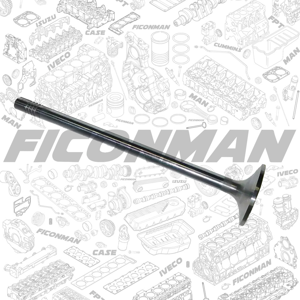 Ford Ford Trucks F-MAX ECOTORQ 9L Intake Valve 2C466507-CA ,T162806, 2C466507CA - Valve for Truck: picture 2 Ford Ford Trucks F-MAX ECOTORQ 9L Intake Valve 2C466507-CA ,T162806, 2C466507CA - Valve for Truck: picture 2