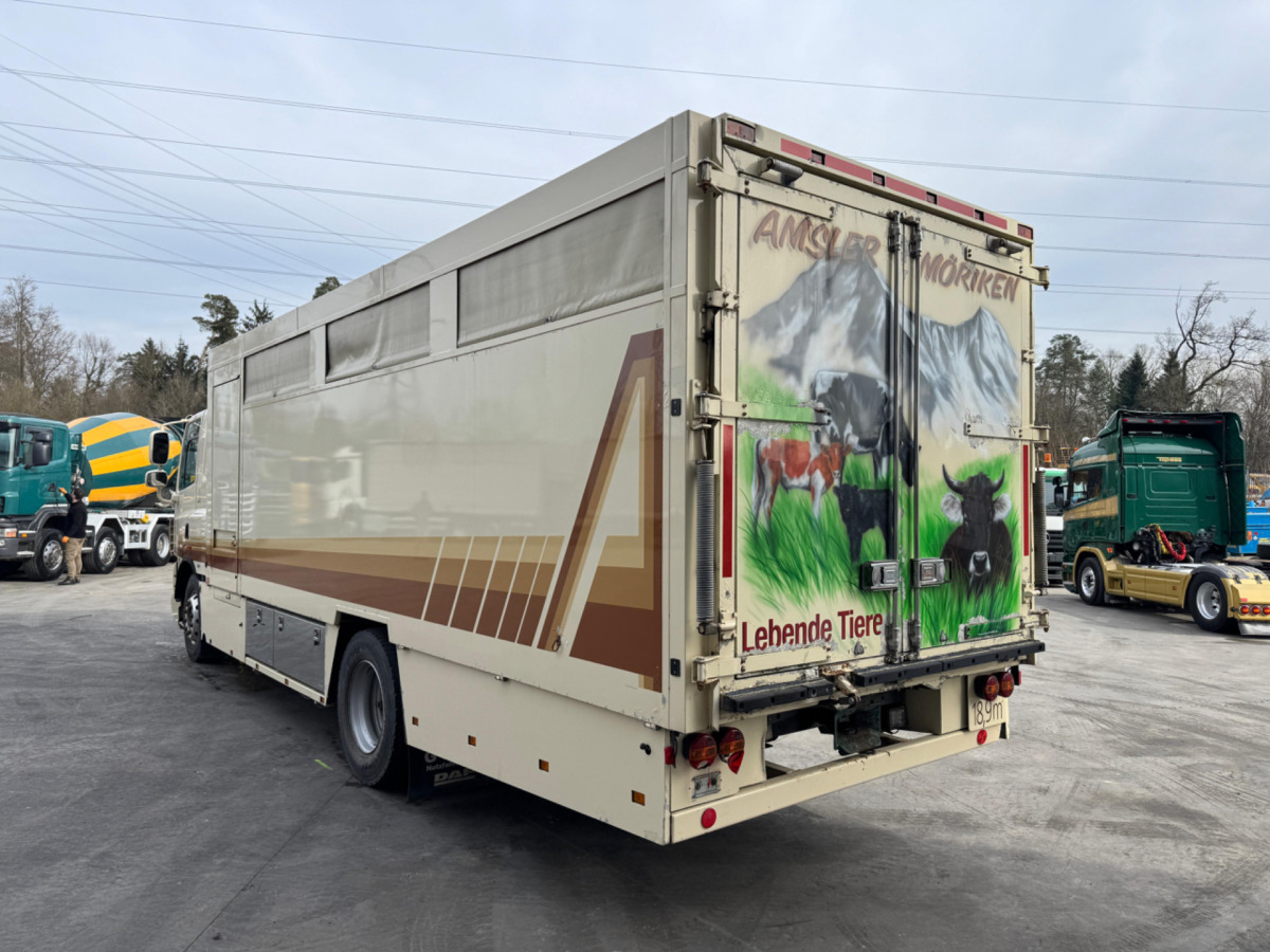 DAF CF410 4x2 leasing DAF CF410 4x2: picture 7 DAF CF410 4x2 leasing DAF CF410 4x2: picture 7