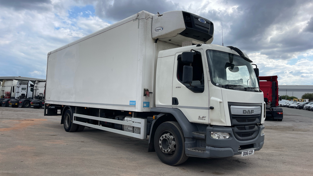 DAF LF 250 - Refrigerator truck: picture 1 DAF LF 250 - Refrigerator truck: picture 1