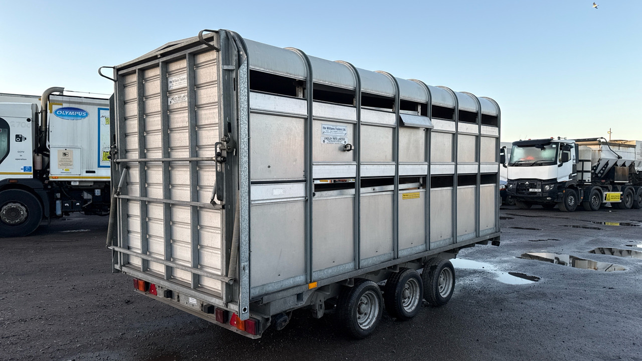 IFOR WILLIAMS DP120S3-4 - Livestock trailer: picture 5 IFOR WILLIAMS DP120S3-4 - Livestock trailer: picture 5