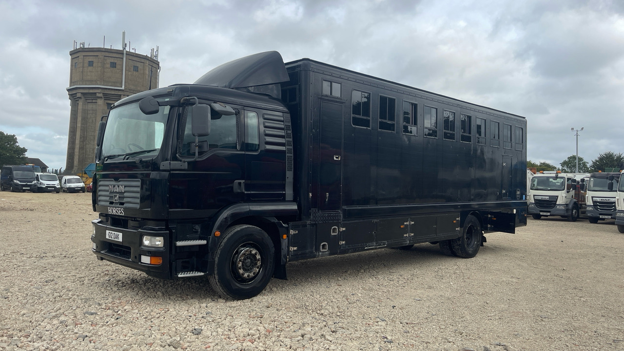 Man TGM 18.240 - Horse truck: picture 2 Man TGM 18.240 - Horse truck: picture 2