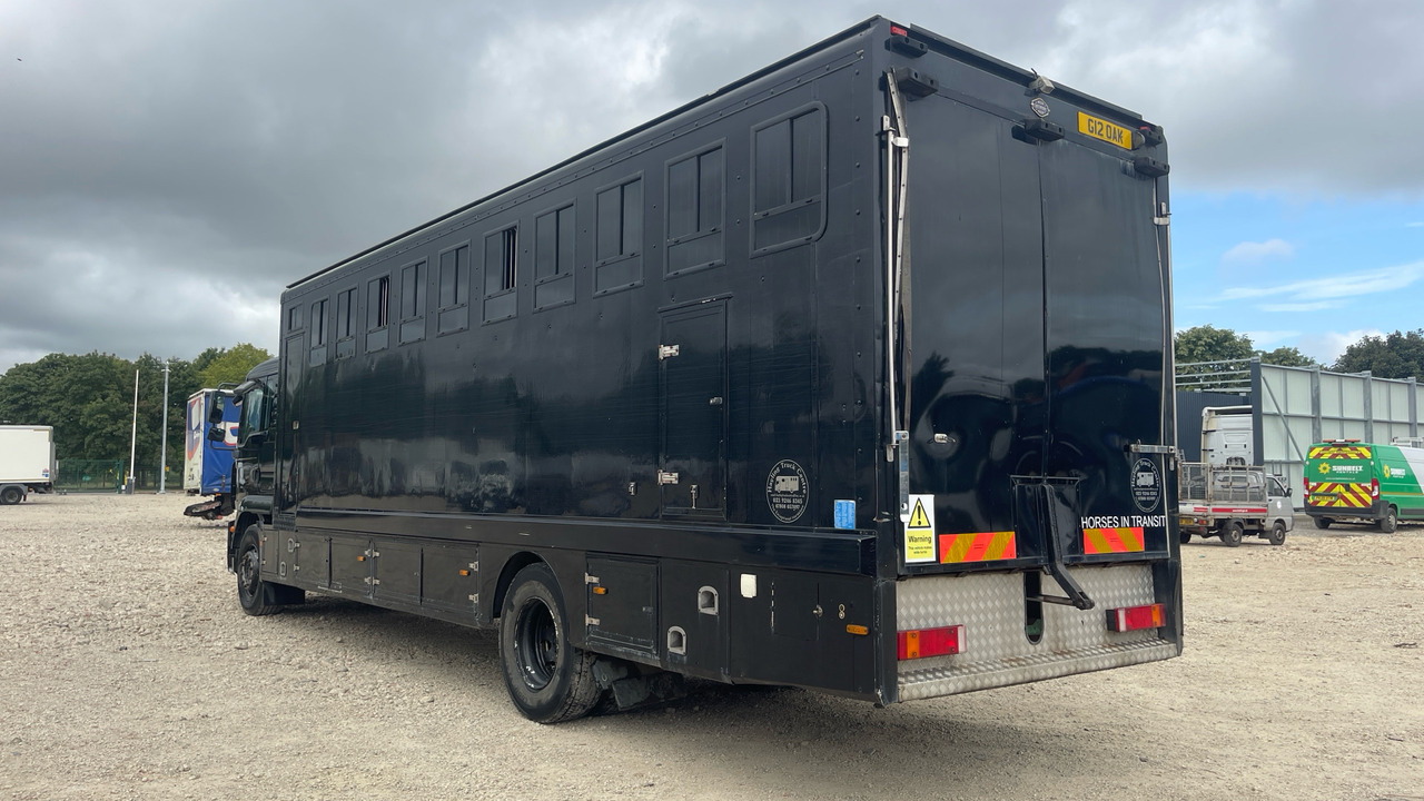 Man TGM 18.240 - Horse truck: picture 3 Man TGM 18.240 - Horse truck: picture 3