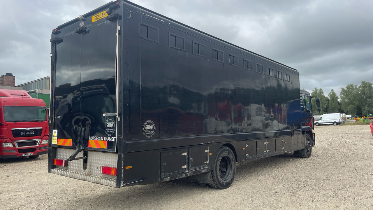 Man TGM 18.240 - Horse truck: picture 4 Man TGM 18.240 - Horse truck: picture 4