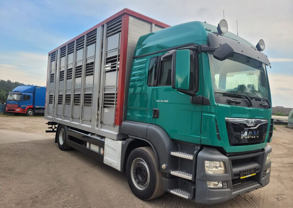 MAN TGS 18.400 Euro 6 do żywca - Livestock truck: picture 2 MAN TGS 18.400 Euro 6 do żywca - Livestock truck: picture 2