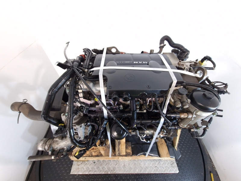 Engine for Truck MAN D0834 LFL67 Engine (Truck): picture 10 Engine for Truck MAN D0834 LFL67 Engine (Truck): picture 10