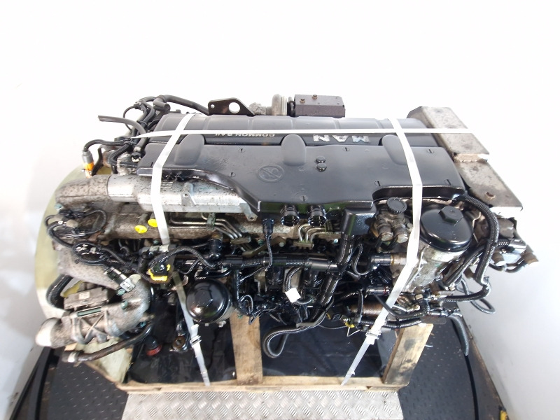 Engine for Truck MAN D0836 LFL66 Engine (Truck): picture 9