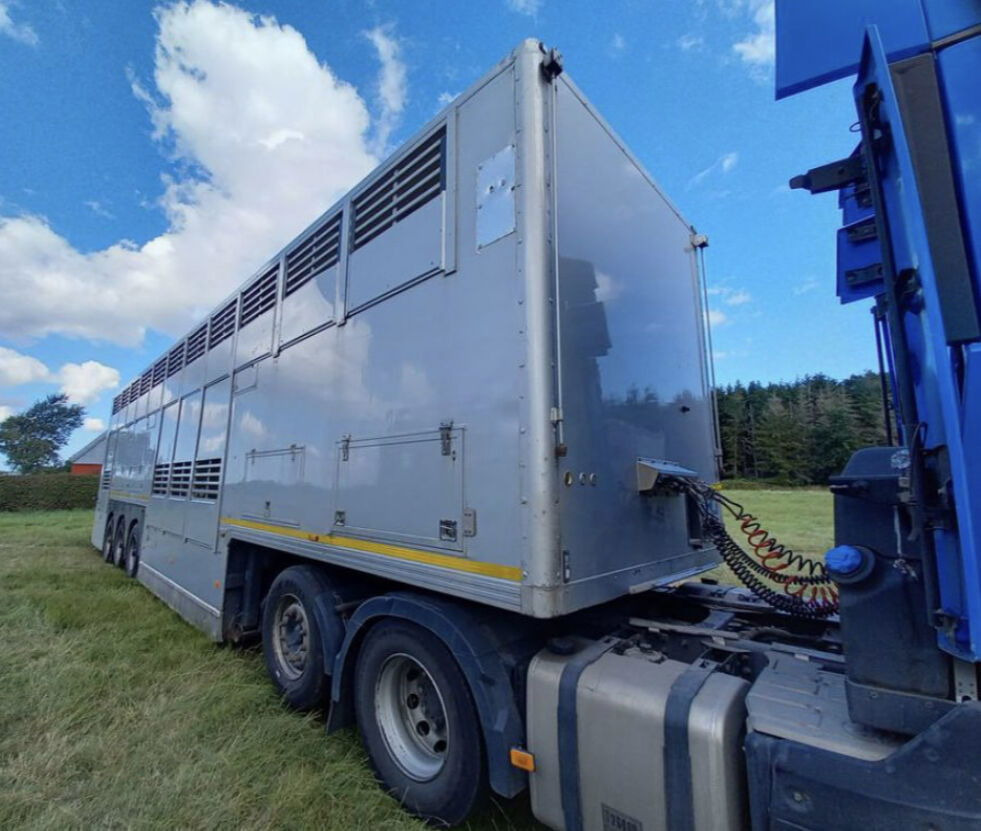 Gray and Adams Gadd3 / Works Great / Hydraulic / 2 Levels - Livestock semi-trailer: picture 4 Gray and Adams Gadd3 / Works Great / Hydraulic / 2 Levels - Livestock semi-trailer: picture 4