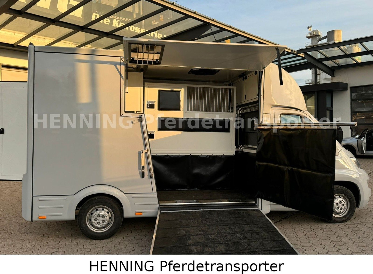 Citroën Jumper 3 - Sitzer - Livestock truck: picture 4 Citroën Jumper 3 - Sitzer - Livestock truck: picture 4