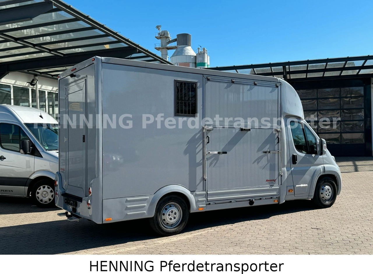 Citroën Jumper 3 - Sitzer - Horse truck: picture 3 Citroën Jumper 3 - Sitzer - Horse truck: picture 3
