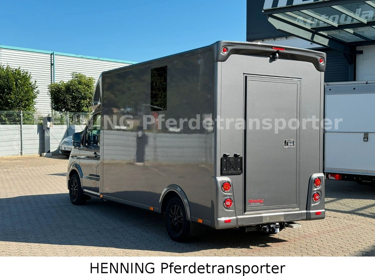 MAN TGE 3 - Sitzer *KLIMA PFERDEABTEIL* - Livestock truck: picture 3 MAN TGE 3 - Sitzer *KLIMA PFERDEABTEIL* - Livestock truck: picture 3