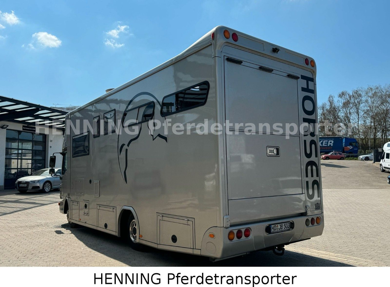 MAN TGL PFERDETRANSPORTER RJH - Livestock truck: picture 4 MAN TGL PFERDETRANSPORTER RJH - Livestock truck: picture 4