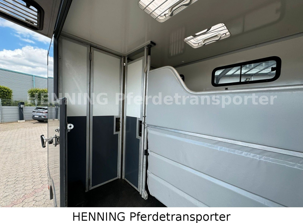 Renault 3-Sitzer - Horse truck, Van: picture 5 Renault 3-Sitzer - Horse truck, Van: picture 5