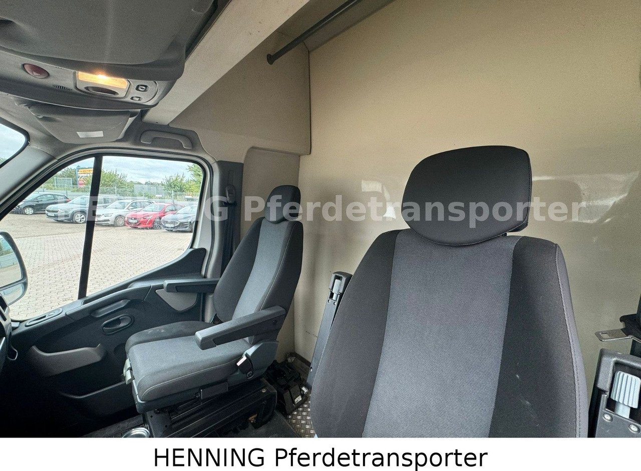 Livestock truck Renault Master 2-Sitzer: picture 13