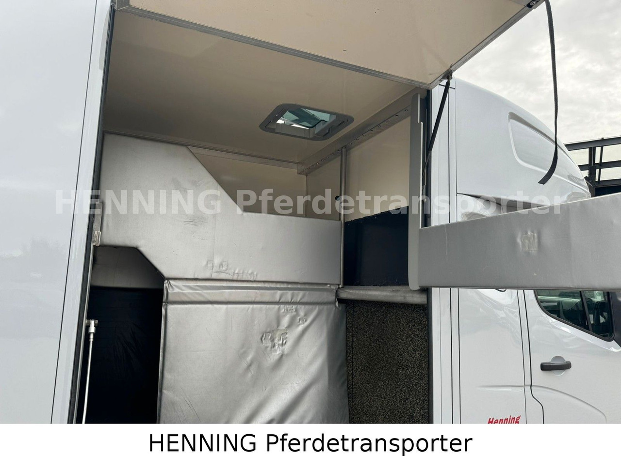 Livestock truck Renault Master 2-Sitzer: picture 6