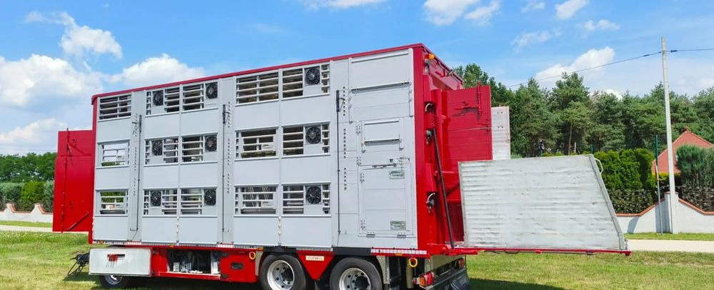 Pezzaioli RBA 32/TRZYOSIOWA PRZYCZEPA-2XBYDŁO,3X TRZODA/HYDRAULICZNIE PODNOSZONY DACH I PODŁOGI / OŚ ŚRODKOWA PODNOSZONA - Livestock trailer: picture 2 Pezzaioli RBA 32/TRZYOSIOWA PRZYCZEPA-2XBYDŁO,3X TRZODA/HYDRAULICZNIE PODNOSZONY DACH I PODŁOGI / OŚ ŚRODKOWA PODNOSZONA - Livestock trailer: picture 2