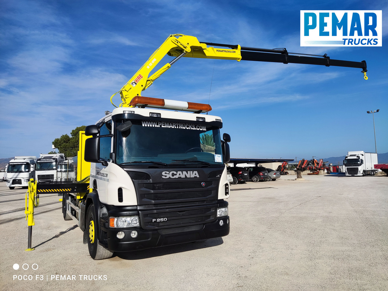 Crane truck SCANIA P 250 GRUA CAJA FIJA: picture 17