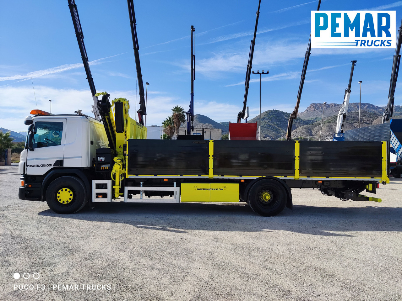 Crane truck SCANIA P 250 GRUA CAJA FIJA: picture 9
