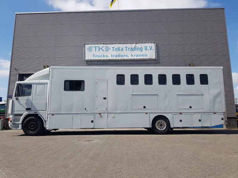 DAF 95.350 Paardenwagen met zitverblijf 7 paarden 7 horses - Horse truck: picture 3 DAF 95.350 Paardenwagen met zitverblijf 7 paarden 7 horses - Horse truck: picture 3