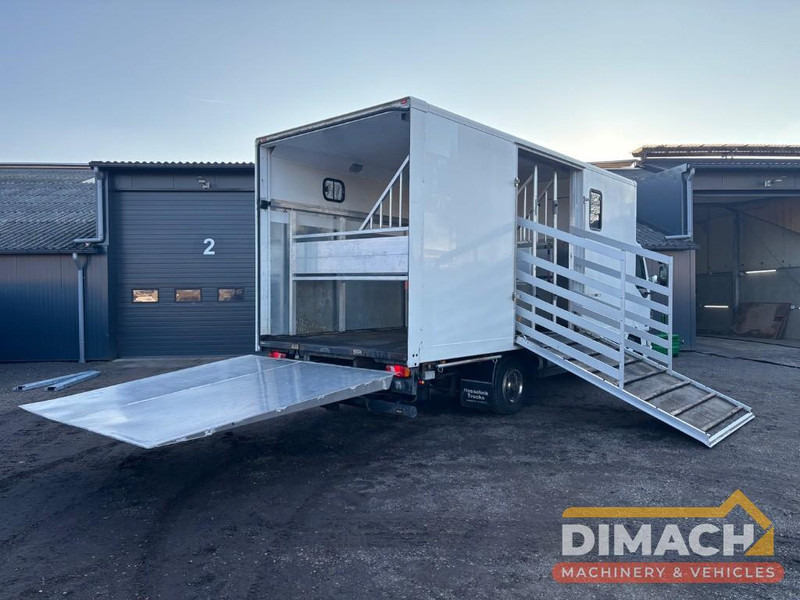 DAF FA LF45.150 4 paards, laadlift. Horsetruck NL truck - Horse truck: picture 2 DAF FA LF45.150 4 paards, laadlift. Horsetruck NL truck - Horse truck: picture 2