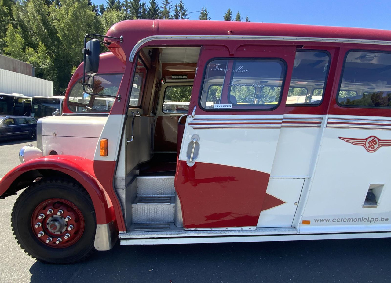 Leyland Tiger TS6 - Bus: picture 4 Leyland Tiger TS6 - Bus: picture 4