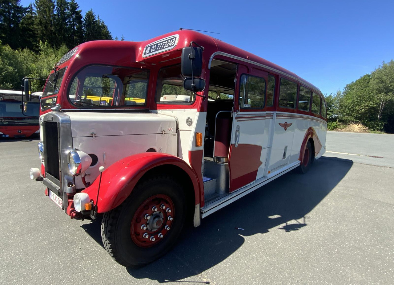 Leyland Tiger TS6 - Bus: picture 2 Leyland Tiger TS6 - Bus: picture 2