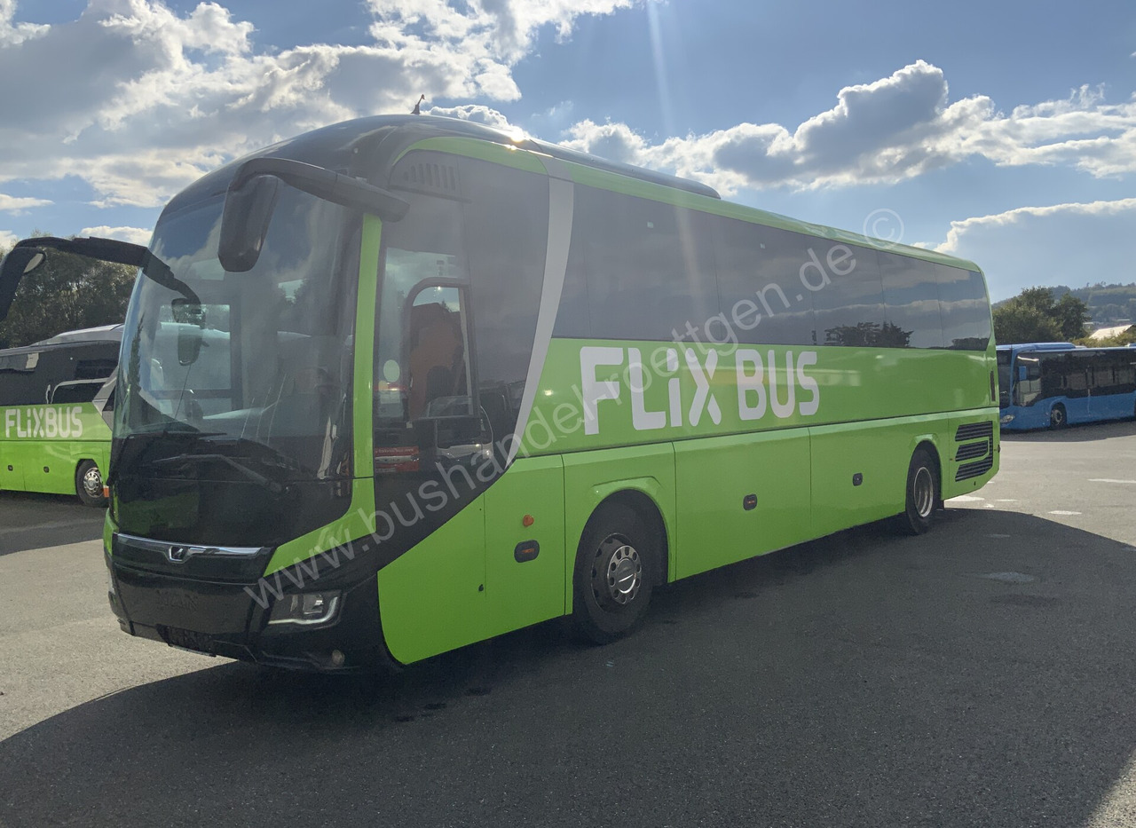 MAN R07 Lions Coach - Coach: picture 2 MAN R07 Lions Coach - Coach: picture 2