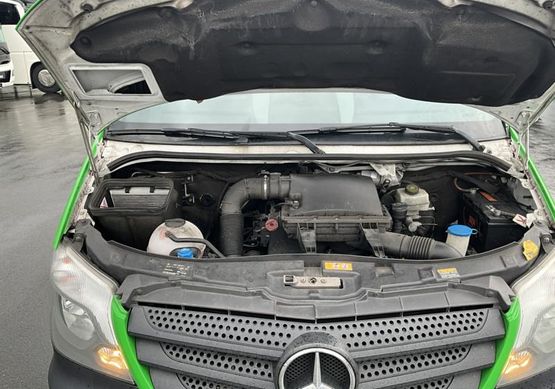 Minibus, Passenger van Mercedes-Benz Sprinter 314 Mobility: picture 9