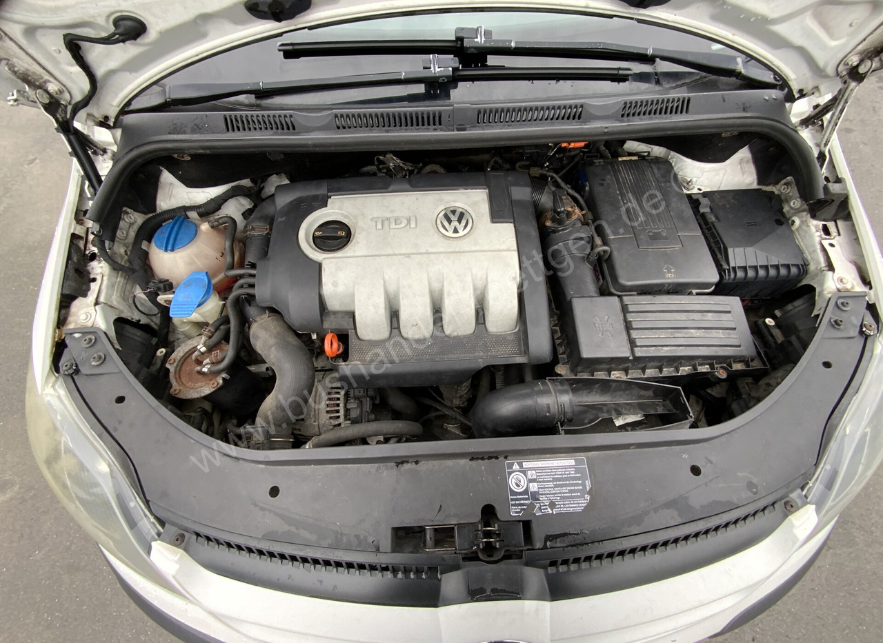 Car Volkswagen Golf Plus 2.0 TDI: picture 6 Car Volkswagen Golf Plus 2.0 TDI: picture 6