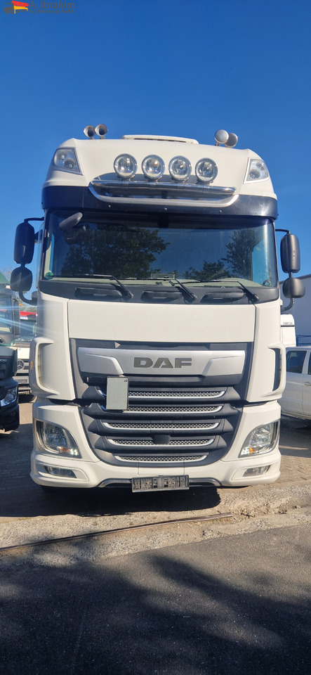 Tractor unit Daf XF450 FT Retarder, Standklima: picture 9