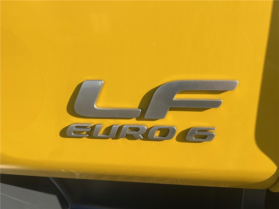 Dropside/ Flatbed truck DAF LF 310: picture 14