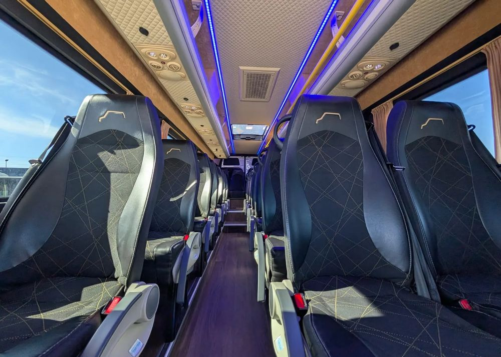 Minibus, Passenger van Mercedes-Benz Sprinter 519: picture 20