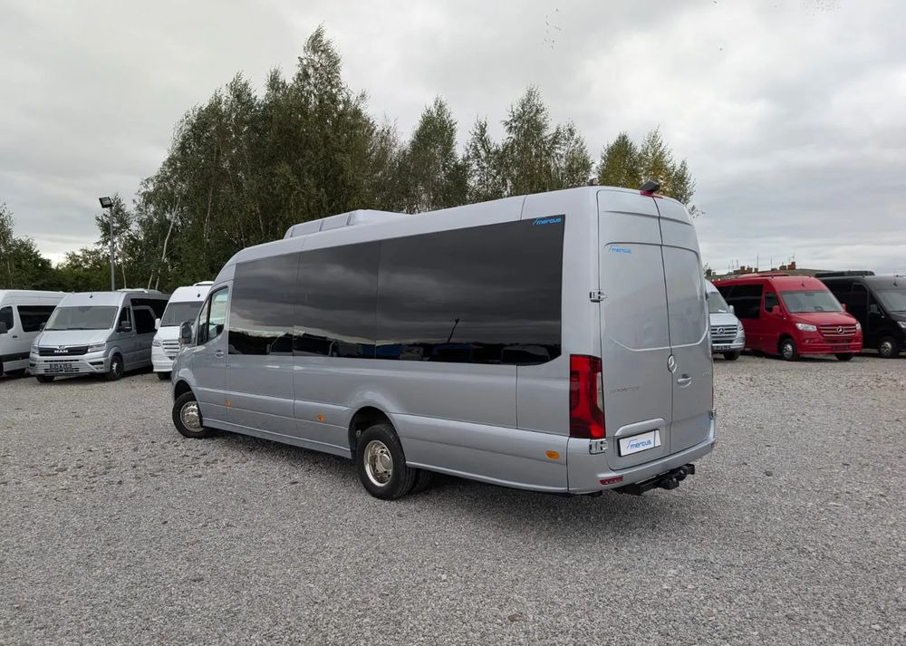 New Minibus, Passenger van Mercedes-Benz Sprinter 519: picture 9