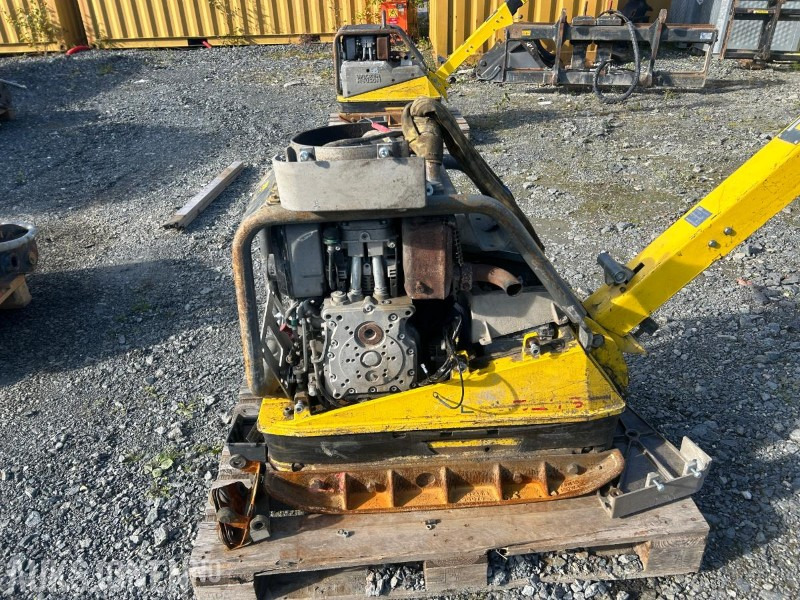 2 stk. Wacker Neuson Dpu 5545 vibroplater - Roller: picture 2 2 stk. Wacker Neuson Dpu 5545 vibroplater - Roller: picture 2