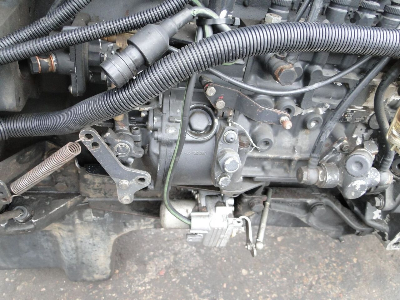 MAN D2865 LF05 MAN F90, F2000 - Engine for Truck: picture 1 MAN D2865 LF05 MAN F90, F2000 - Engine for Truck: picture 1